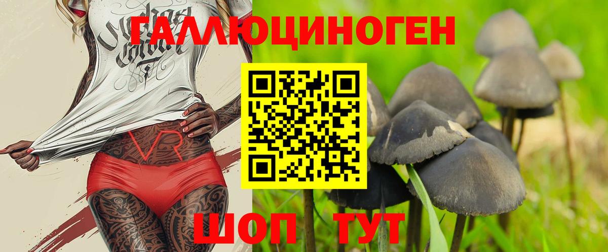 как найти наркотики  Вход с VPN  Сергиев Посад  Галлюциногенные грибы мухоморы 
